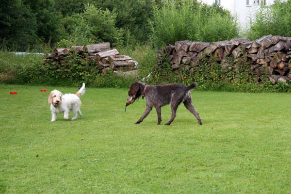 Griffontreffen07- 041.jpg